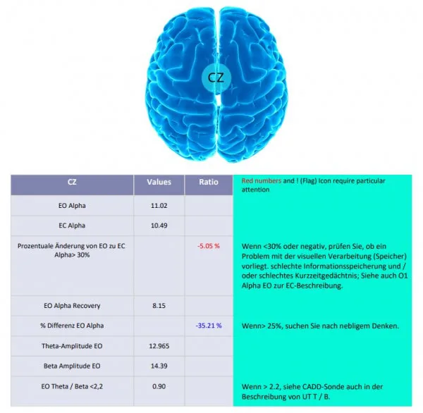 IFEN Clinical-Q-Berichtsgenerator, Jahreslizenz